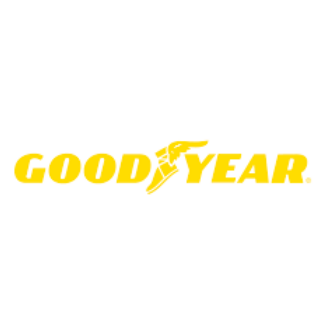 GOODYEAR FLIGHT EAGLE LT TIRE H25X8.0-12 16PLY 258K63-2